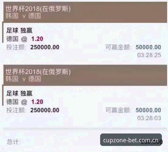 世界杯投注平台登录必备知识：2025新版官方入口全流程实战指南